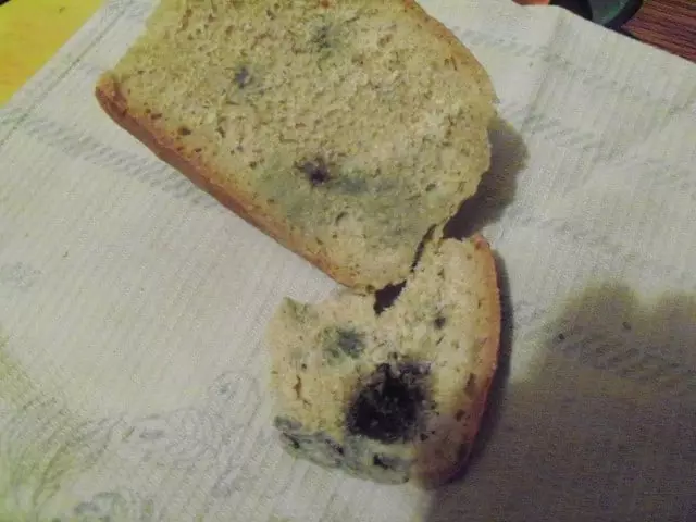 Fatia de pão com molde