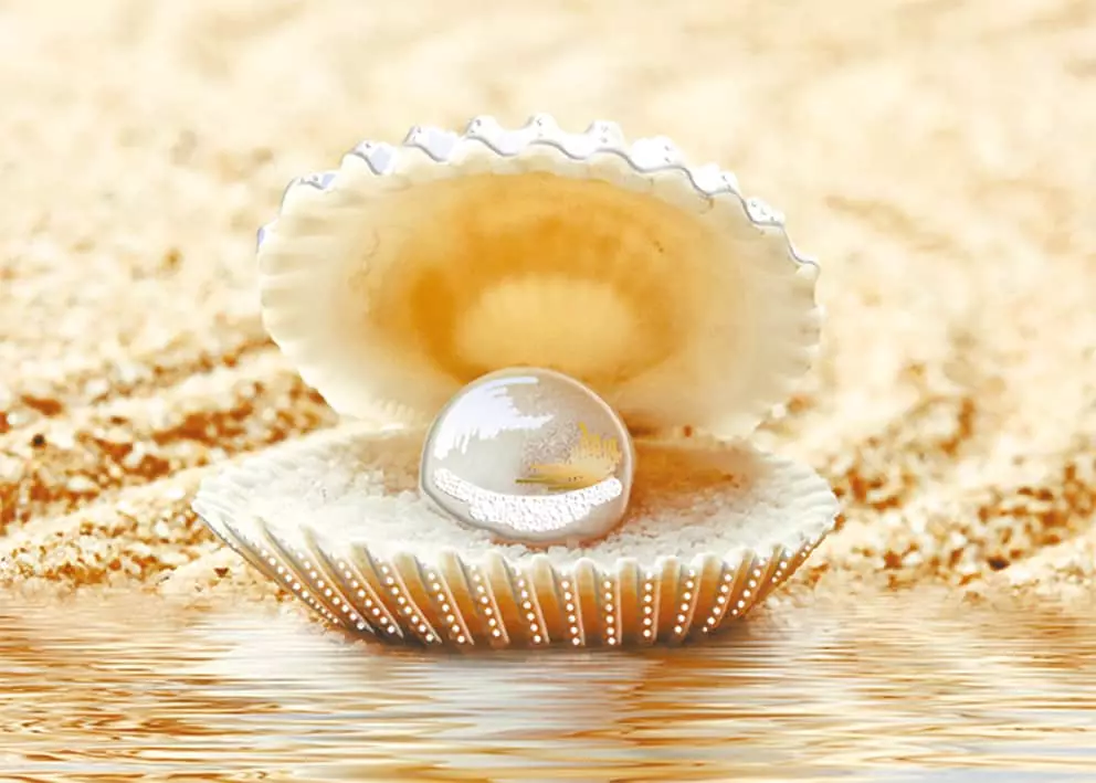 Shell na may perlas
