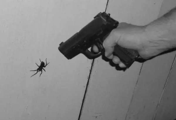 Pistolet et araignée