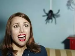 मकड़ी से पहले लड़की का डर