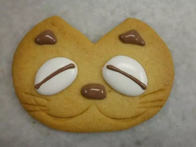 Kitten Cookies