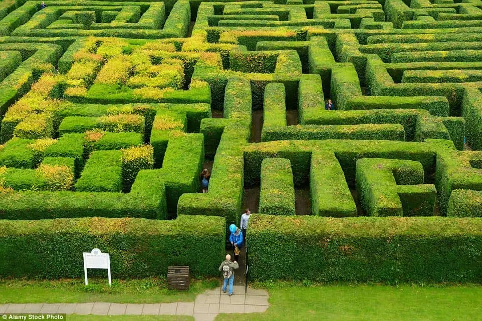 Ногоон Labyrinth