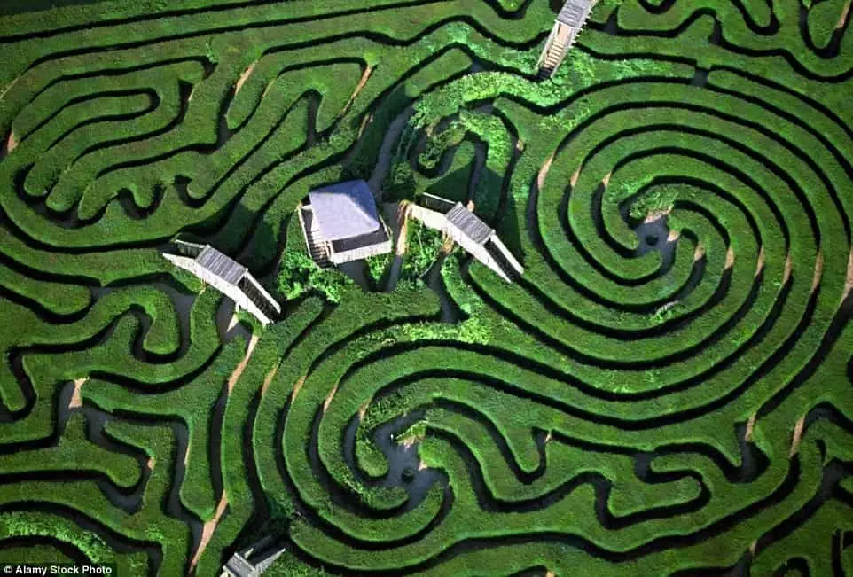 Tangled labyrinth