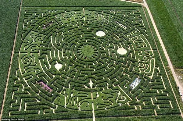 Special Labyrinth