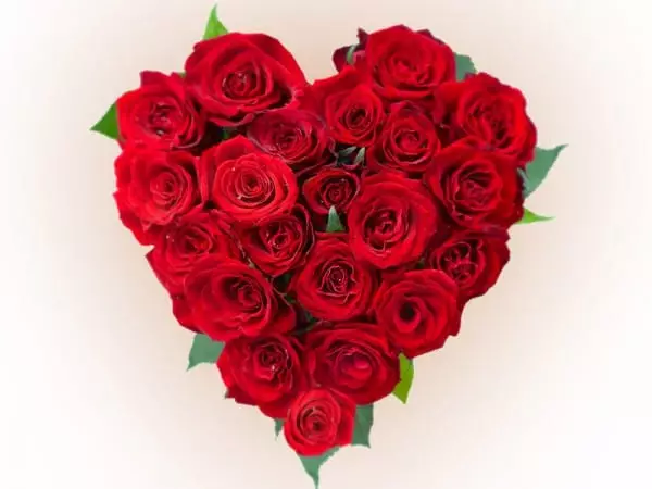 Hjerte av rose