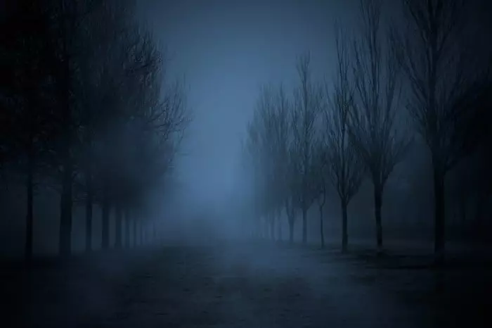 Nat i tågen