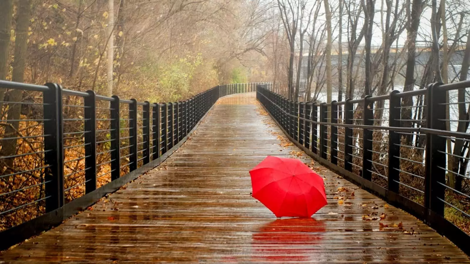 Мост с зонтами
