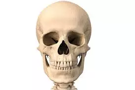 White Skull