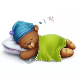 Sove Bear.