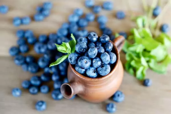 Blueberries sa tangke