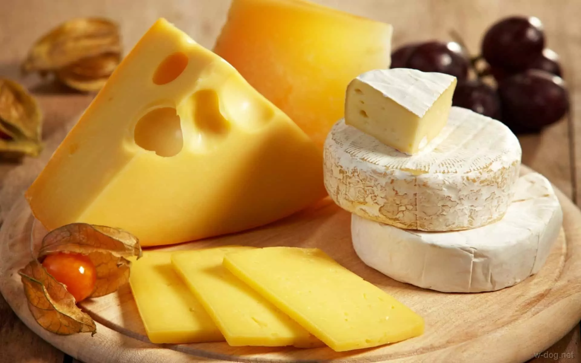 치즈의 종류