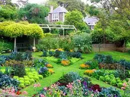 自宅の野菜庭園