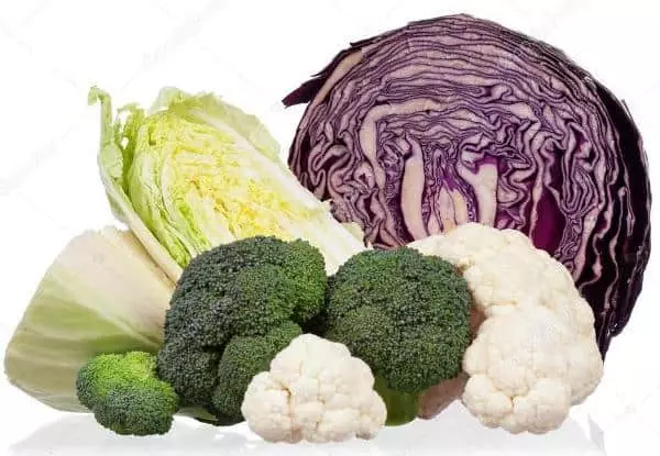 cureyên cuda yên cabbage