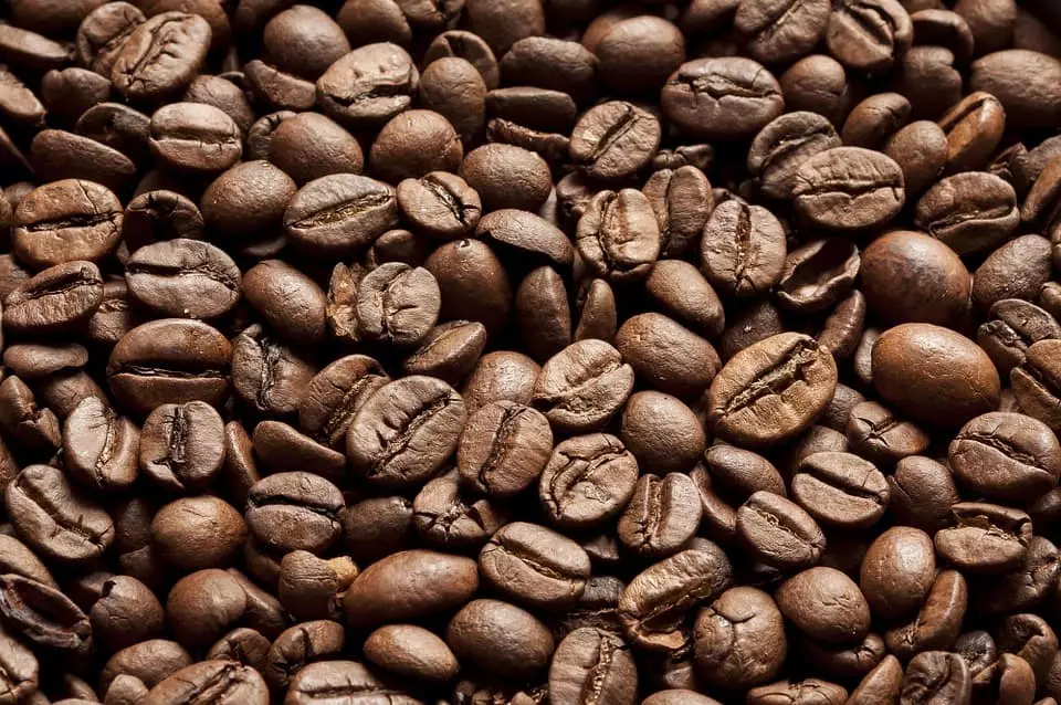 دانه زیادی از قهوه