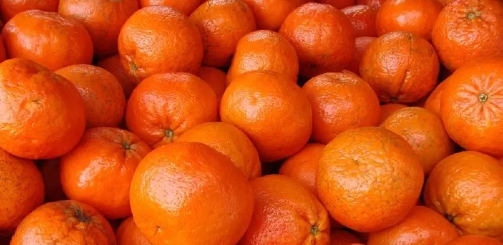 Maturaj mandarinoj