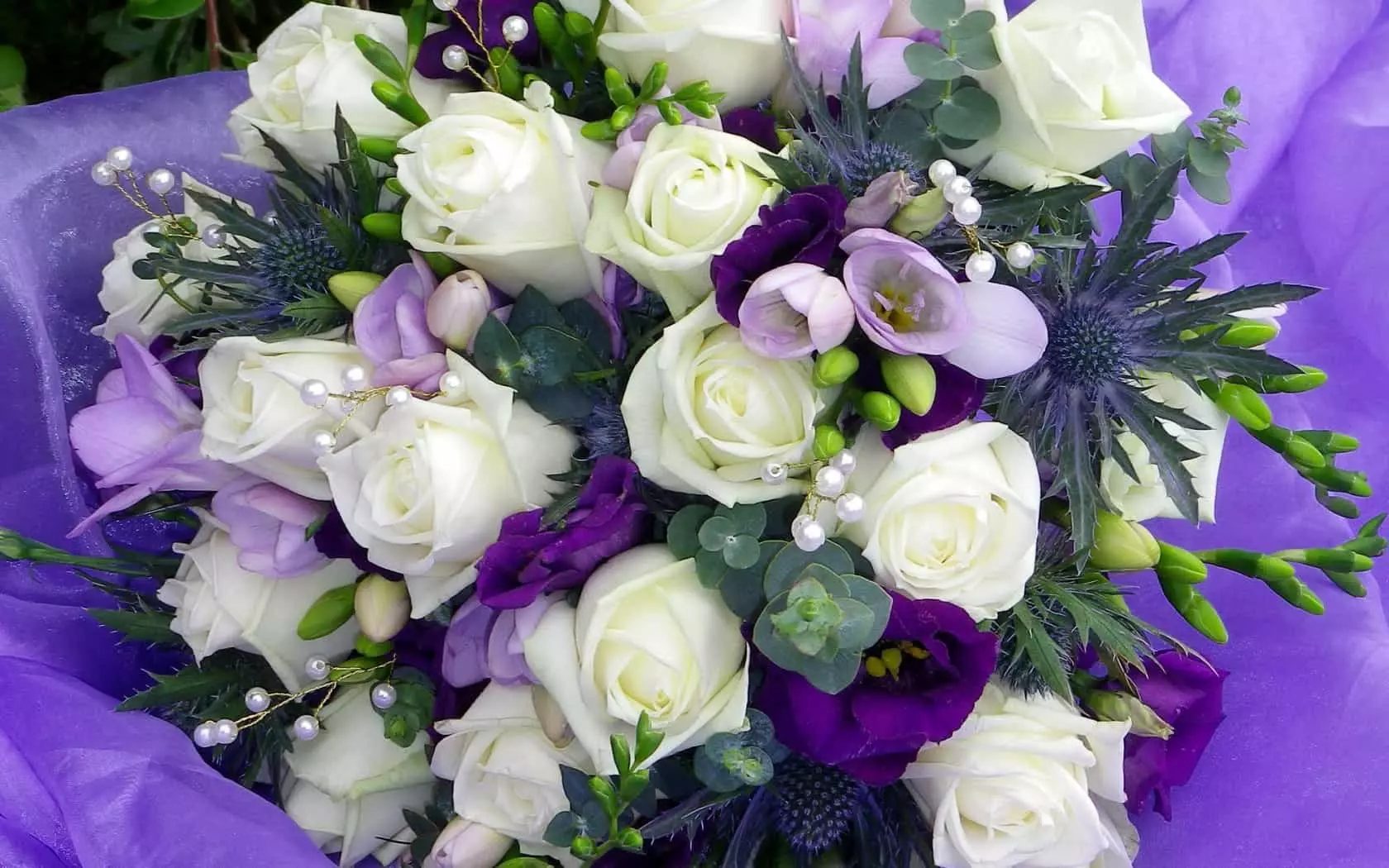 Witte en paarse rozen