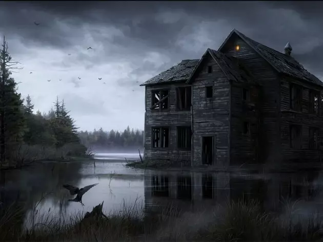 Будинок у болота
