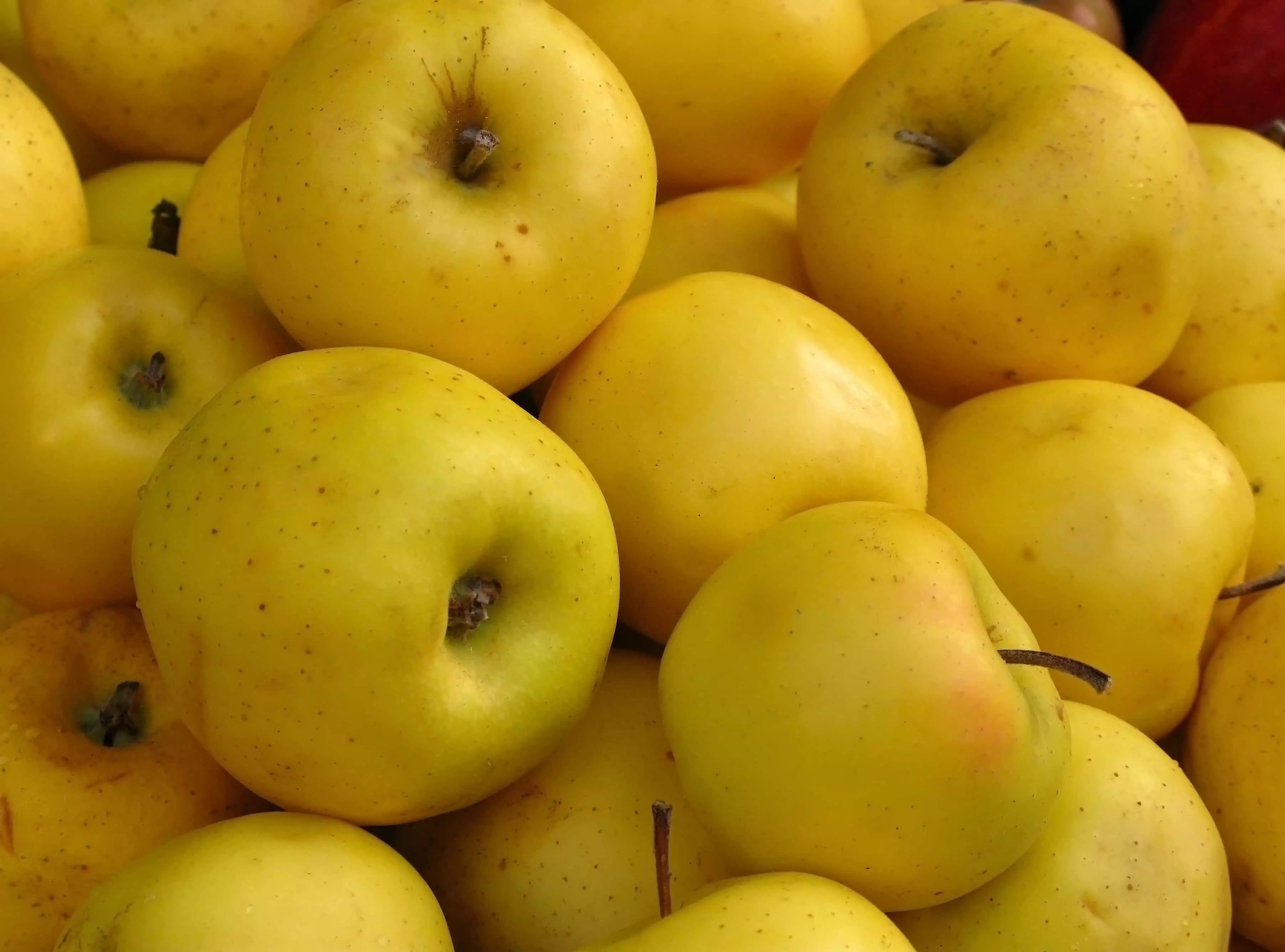 黄色のリンゴ
