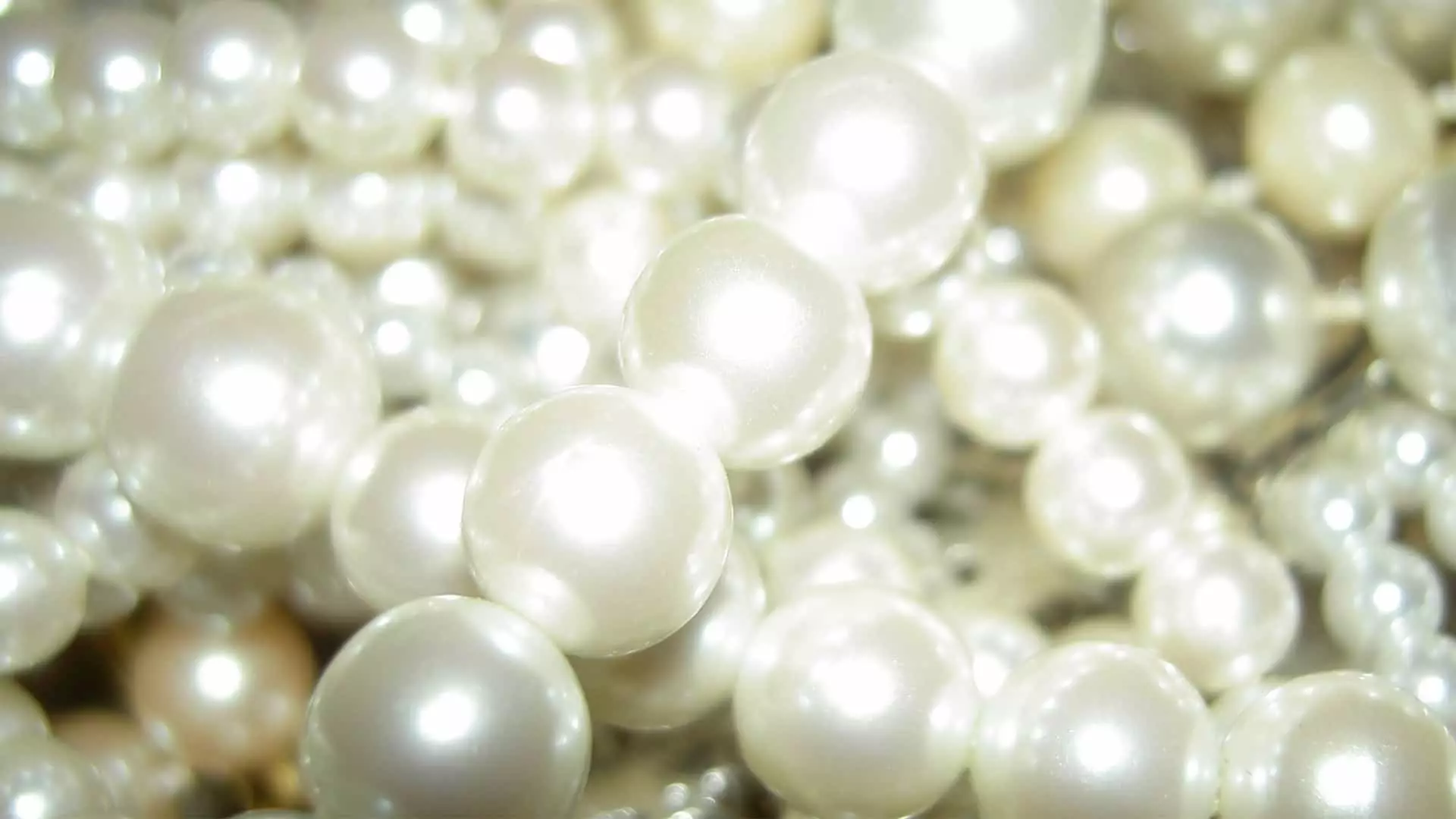 白色珍珠