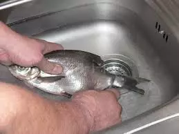 Ribe u kuhinji