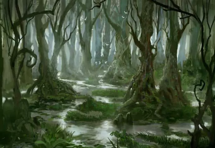Wald mit einem Sumpf