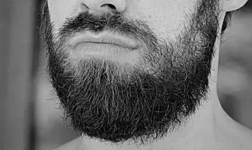 Black Beard.