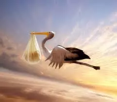 Stork femeie într-un vis