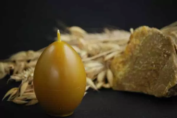 Geislun skemmda með vax egg