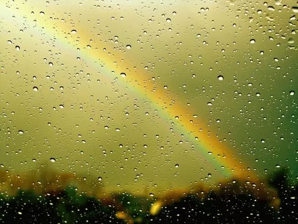 Signali na kišu u fenomenima prirode