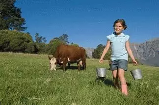 Cow and milk