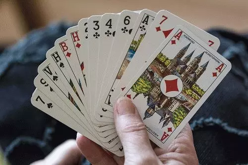 Vad spelar du kort? 7583_1