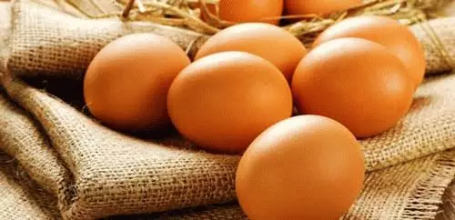 Jaké sny o mnoha kuřecích vejcích? 7690_1