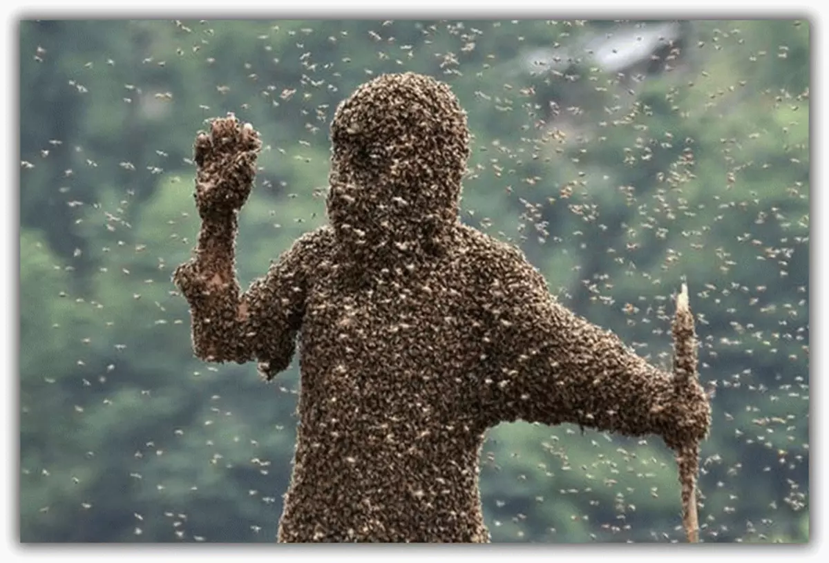 човек напълно в пчели