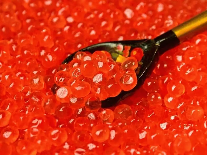 အနီရောင် caviar ၏အိပ်မက်များကားအဘယ်နည်း။ 7766_1