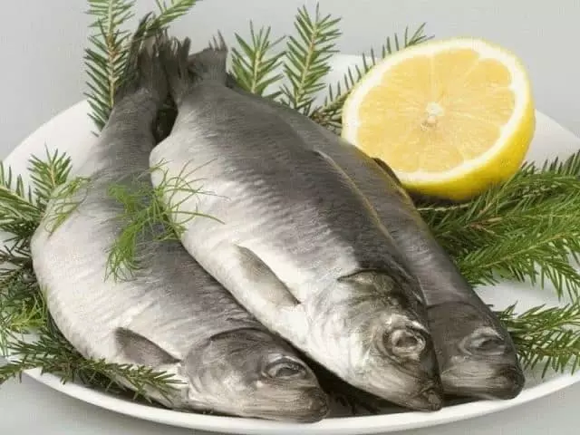 Why dream salty herring? 7768_1