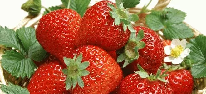 Naon impian strawberry beureum gedé? 7831_1