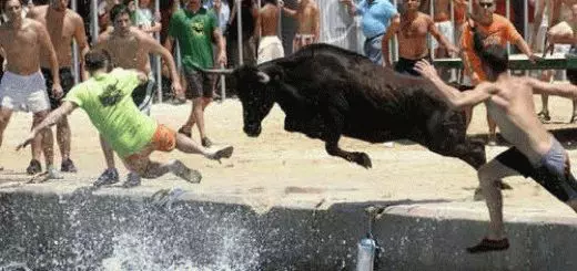 Għaliex Dream Bull bil-qrun li jattakkak? 7841_1